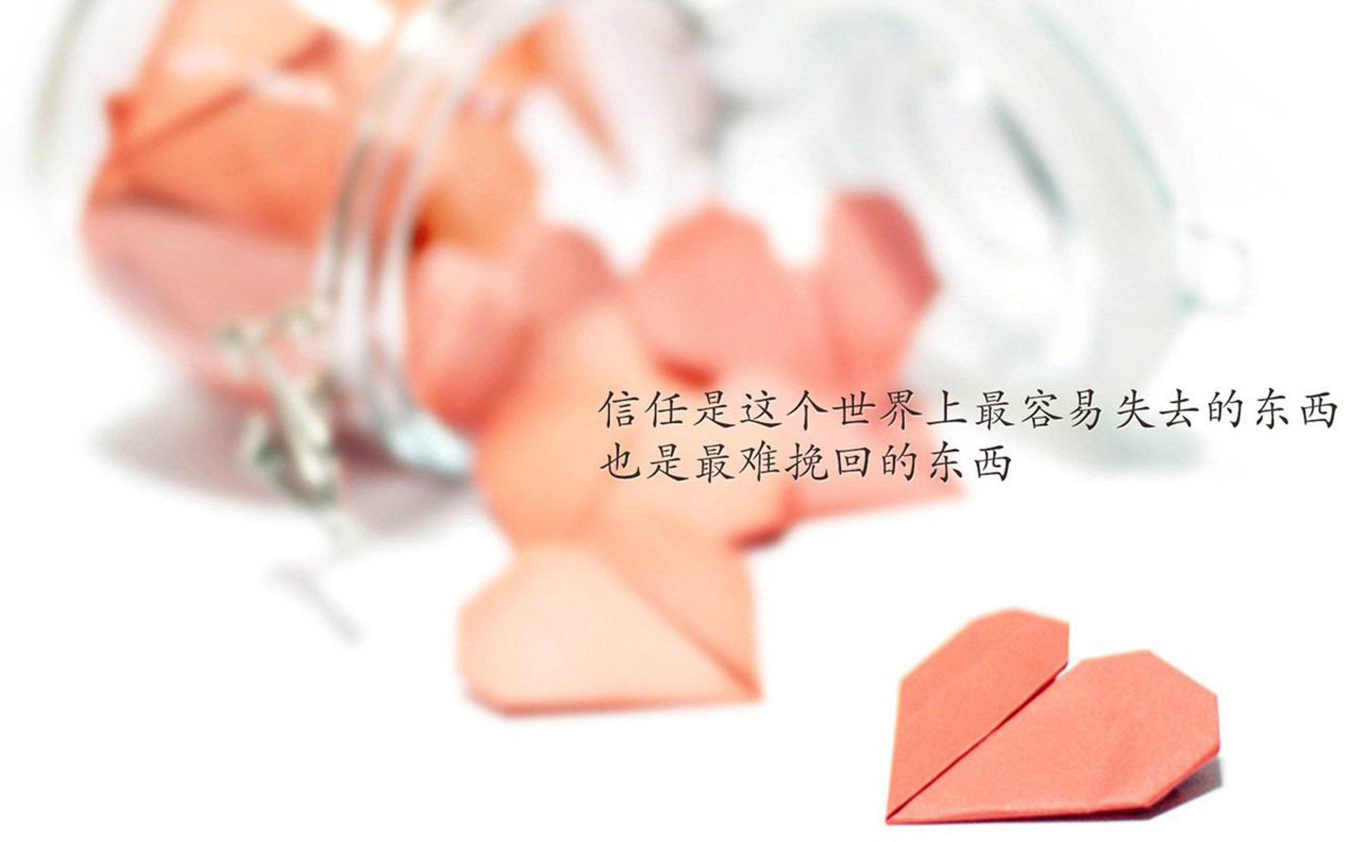 电竞选手村的生活：训练、休息与娱乐，电竞选手bang