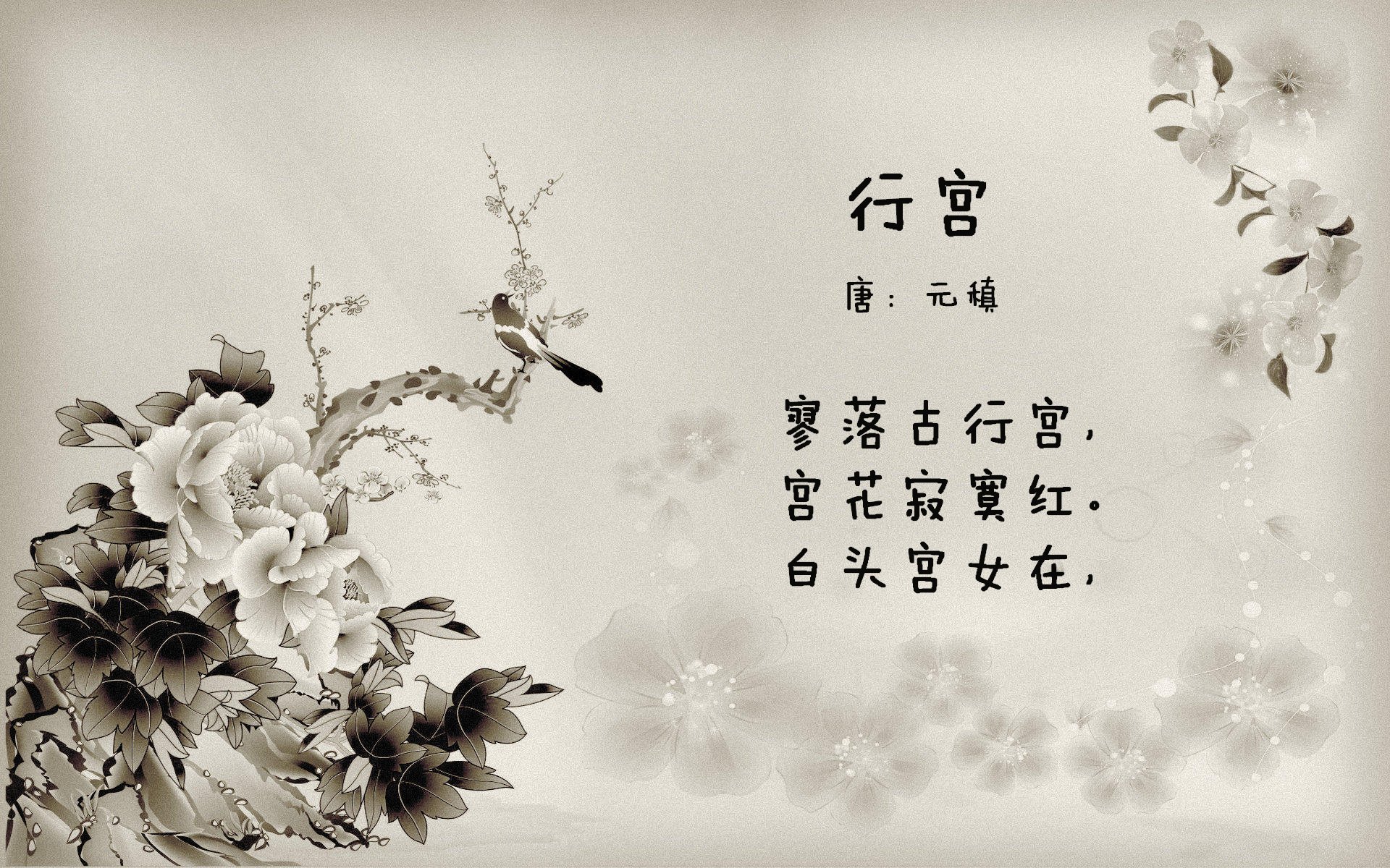 青少年篮球赛事的教育功能日益突出，促体育与教育深度融合，青少年篮球赛事有哪些