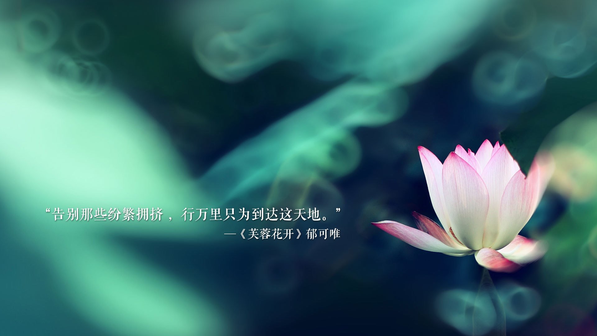 Jiuyou-青少年足球培训许可证逐渐标准化，有效规范行业秩序，青少年足球培训 国家补贴