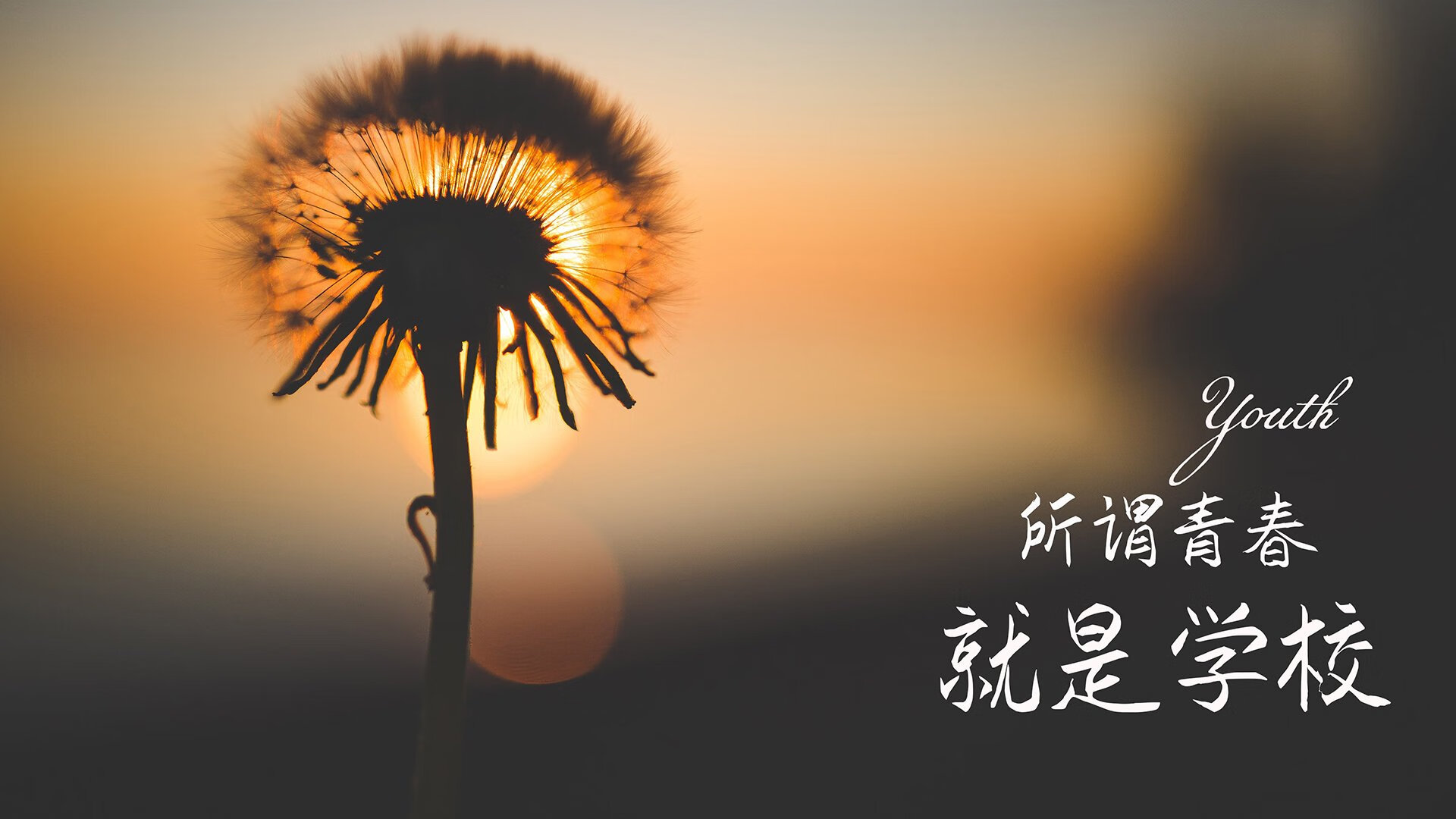 九游网-C罗连续进球助吉达联合取胜，c罗总进球数至今2020总助攻