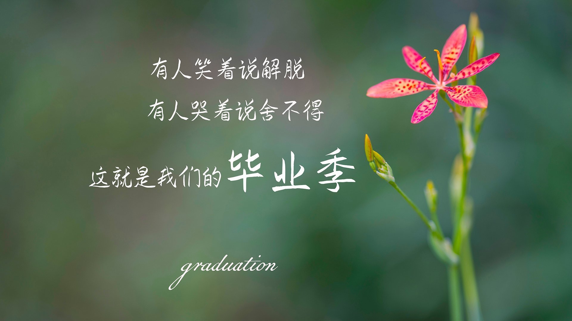 葡萄牙体育比赛精彩瞬间回顾，葡萄牙 体育