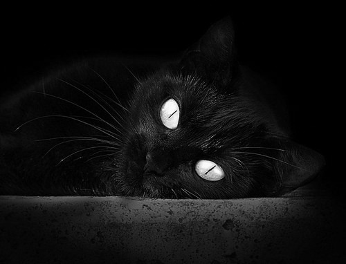 韩旭状态回升贡献显著，韩旭回国了吗