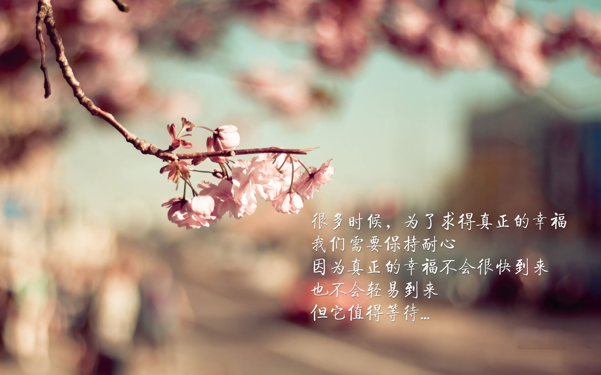 英超悬念迭起:最后一战决定最终归属,英超最后两轮分析