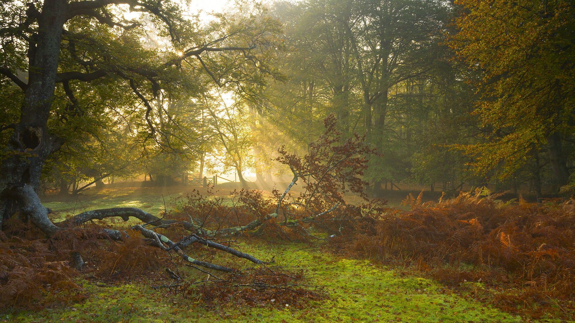 覃海洋决赛发挥稳定赢得掌声,覃海洋照片