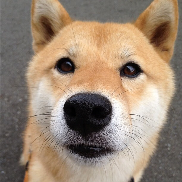 骑士赛后组织小型见面会球迷热情回应,骑士队price