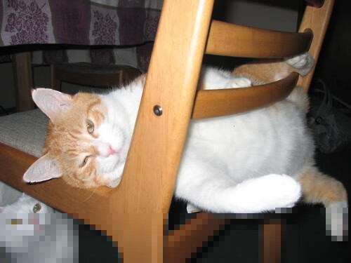 高校篮球推广校际友谊赛促进运动交流合作，校际篮球赛交流宣传标语