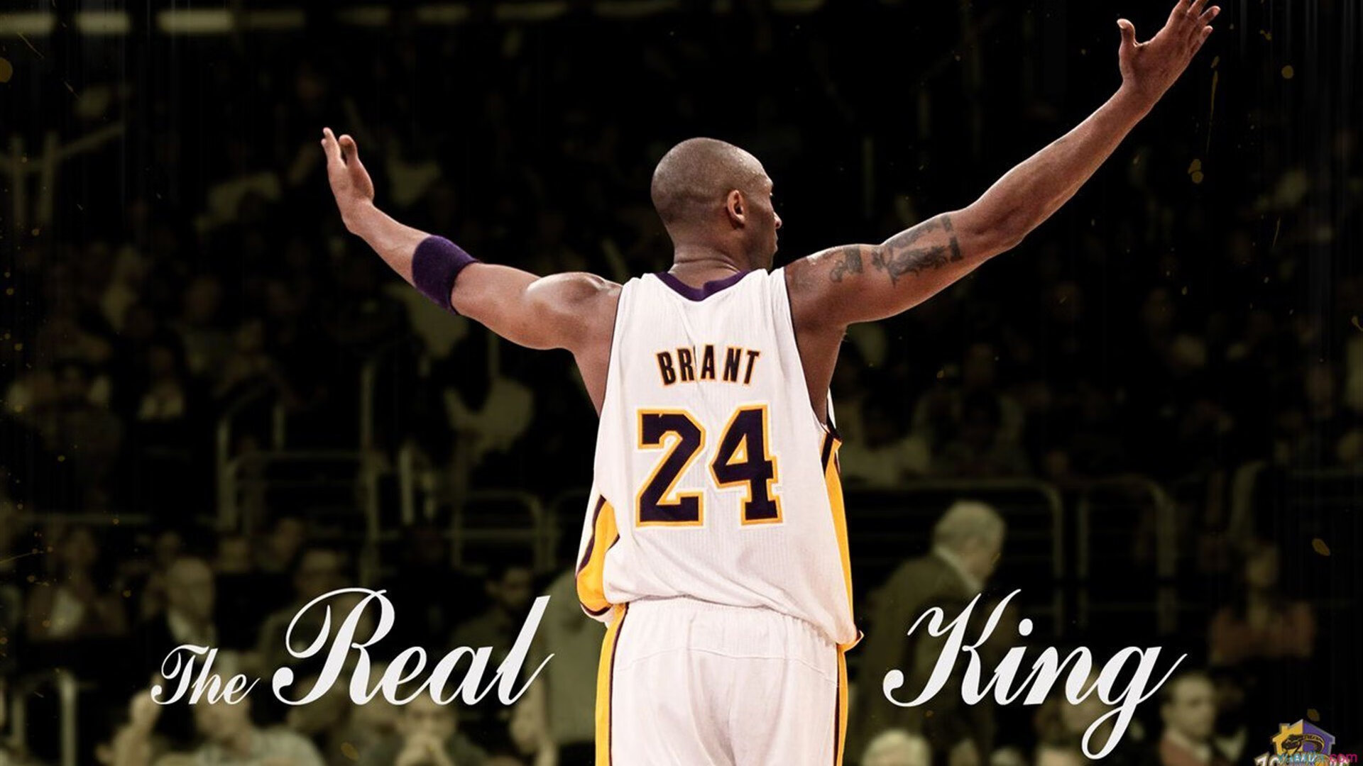 “篮球梦想家”青少年创新创业大赛在上海开赛，助推青训产业发展